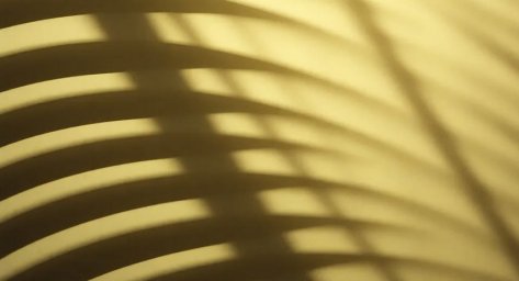 DLBI: мошенники переходят на обратный звонок