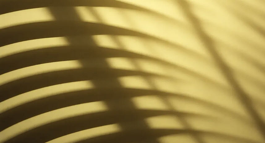 DLBI: мошенники переходят на обратный звонок DLBI: мошенники переходят на обратный звонок