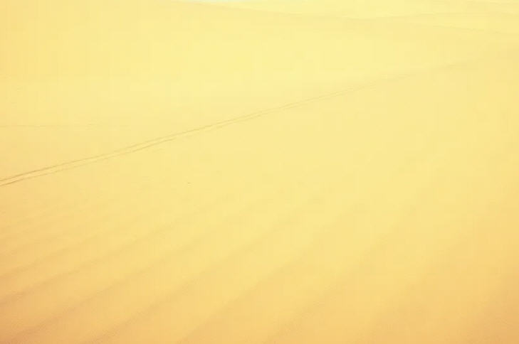 Компания «Авантелеком» получила награду от правительства Хабаровского края Компания «Авантелеком» получила награду от правительства Хабаровского края