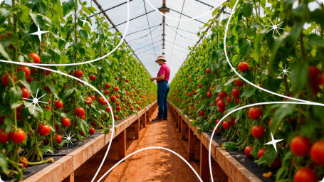 Международный FMCG-холдинг в России развивает интегрированное планирование на базе Optimacros