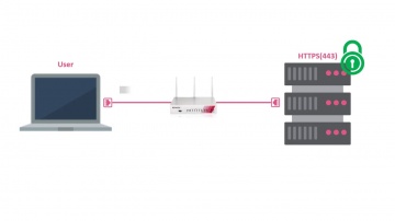 Check Point: HTTPS Inspection on Small Business Appliances